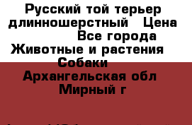 Русский той-терьер длинношерстный › Цена ­ 7 000 - Все города Животные и растения » Собаки   . Архангельская обл.,Мирный г.